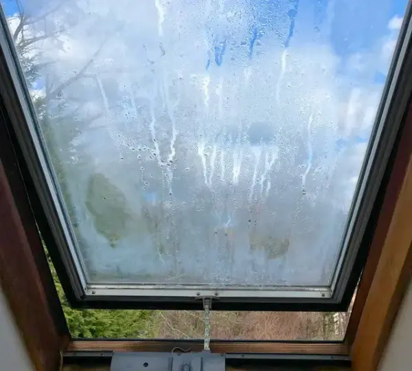 shaftesbury window replacement
