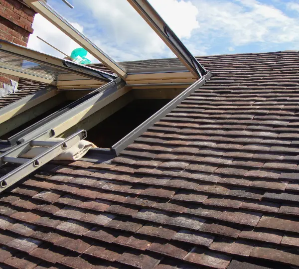 bridport loft window replacement